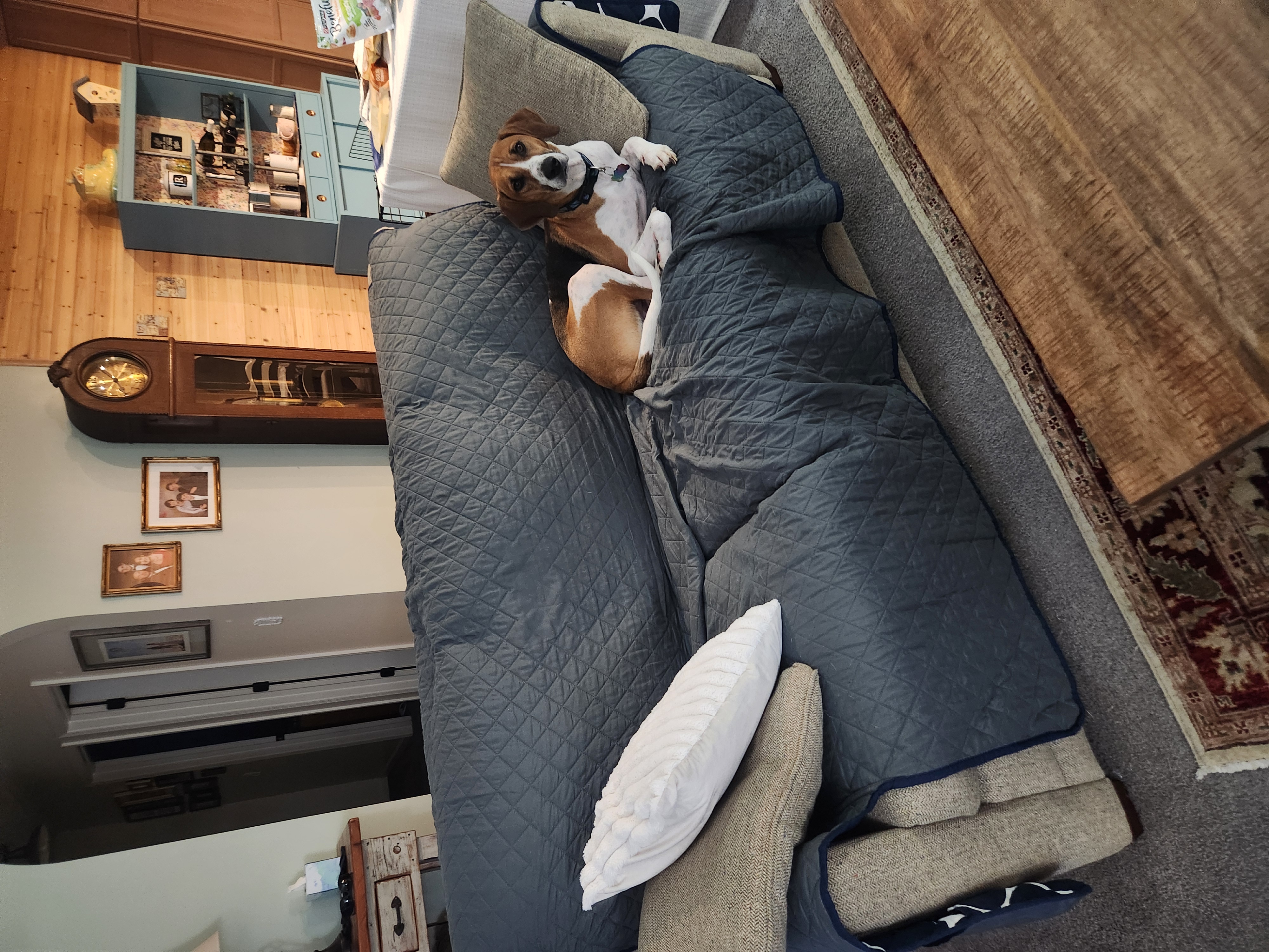 Living room pullout couch